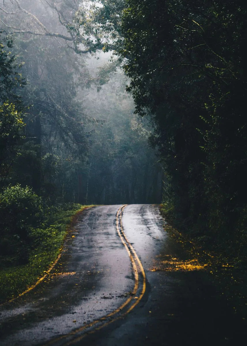 Beautiful Dark Green Forest Foggy Mountain Landscape Nature Scenery Poster Canvas Painting Wall Art Pictures Home Room Decor