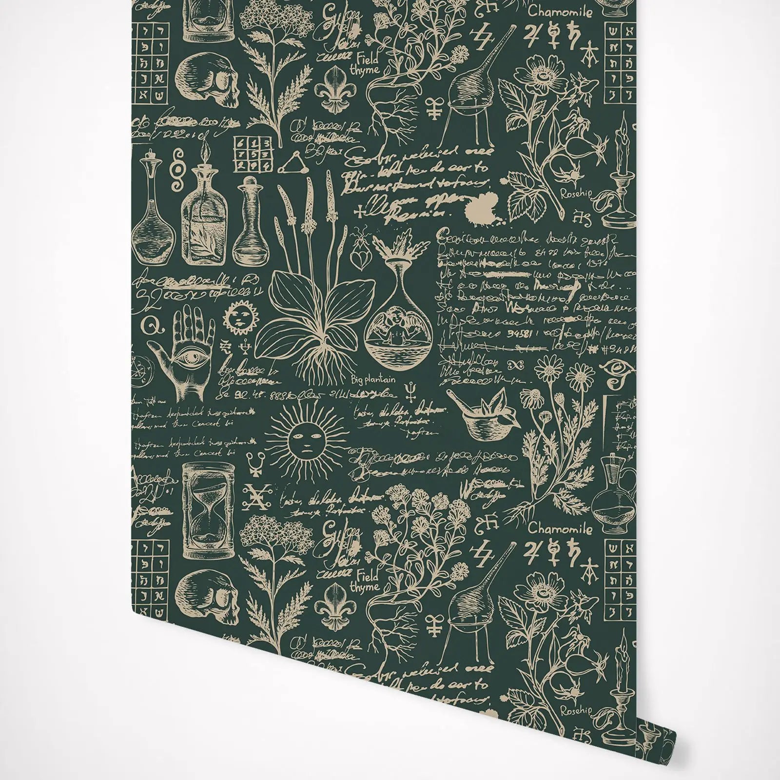 Green Medicine And Herbal Wallpaper - Beige Design Wallpaper Mural ,Retro Style Mural - Wall Art Decor Peel And Stick Wall Paper