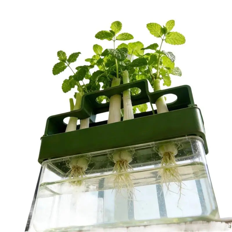 Hydroponic Green Onion Planter Innovative Automatic Watering Device for Home Gardening Fresh Vegetable Growth