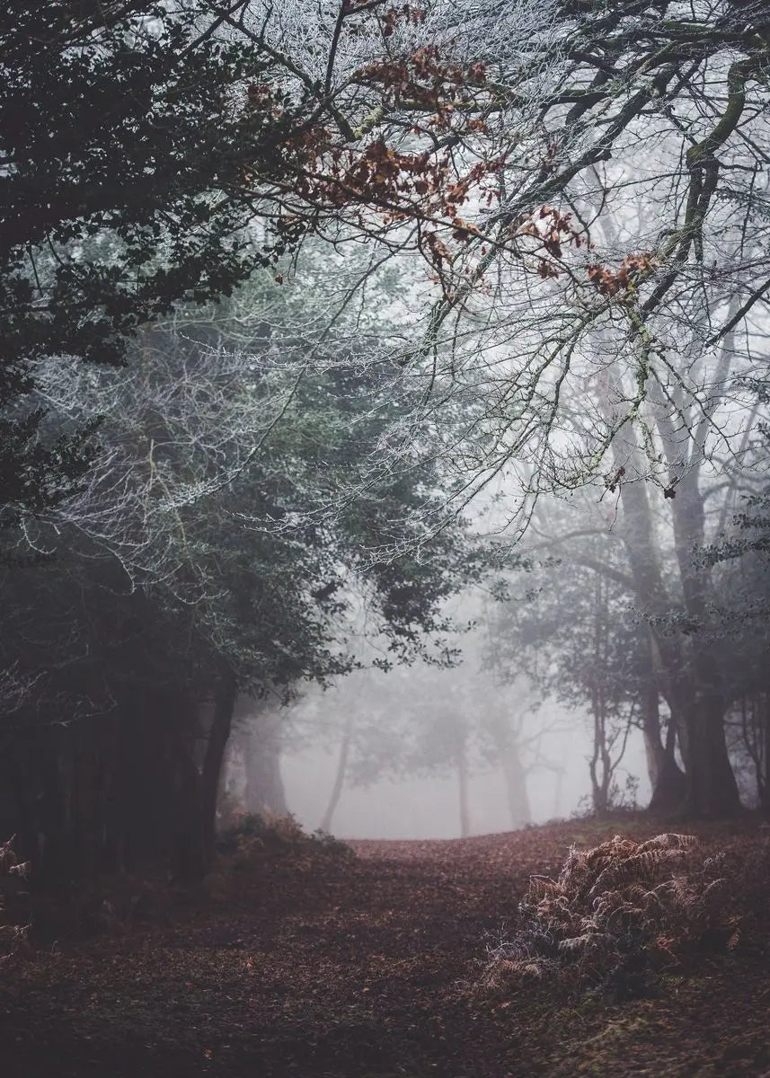 Beautiful Dark Green Forest Foggy Mountain Landscape Nature Scenery Poster Canvas Painting Wall Art Pictures Home Room Decor
