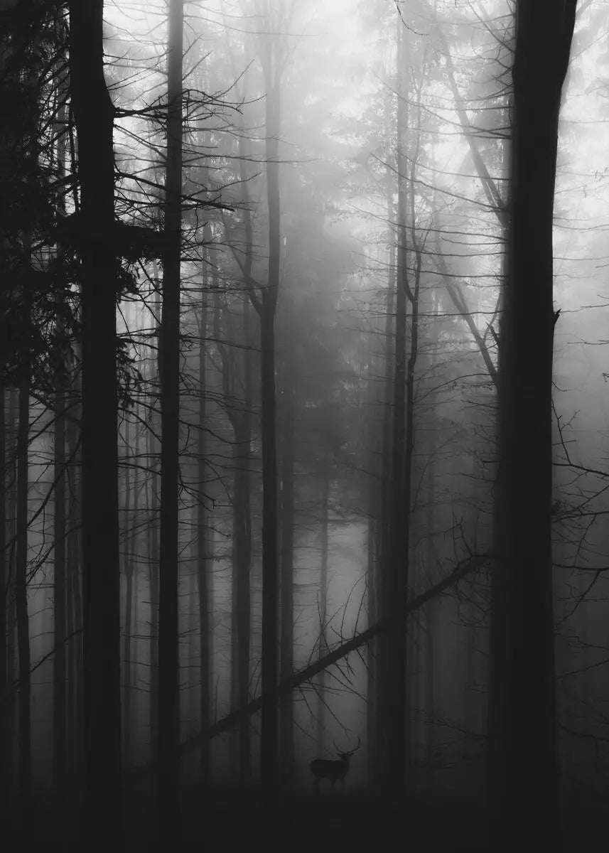 Beautiful Dark Green Forest Foggy Mountain Landscape Nature Scenery Poster Canvas Painting Wall Art Pictures Home Room Decor