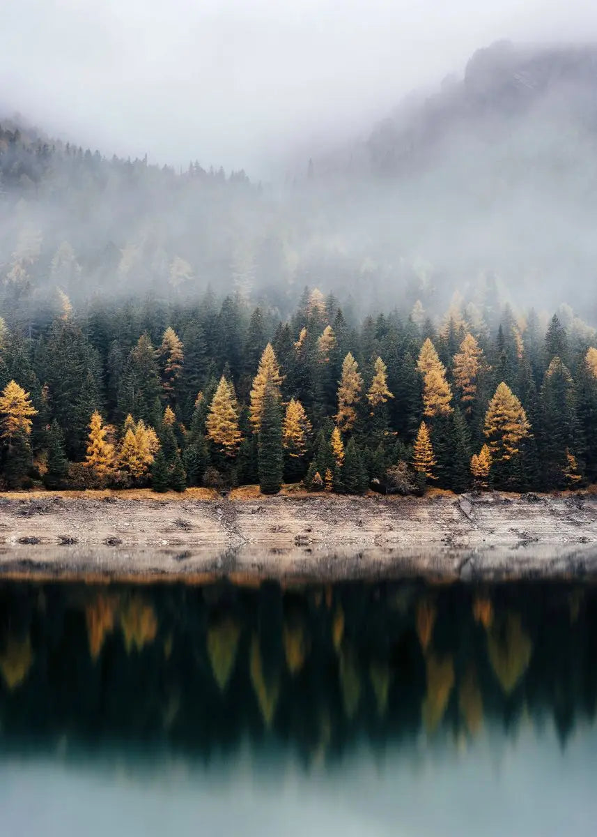 Beautiful Dark Green Forest Foggy Mountain Landscape Nature Scenery Poster Canvas Painting Wall Art Pictures Home Room Decor
