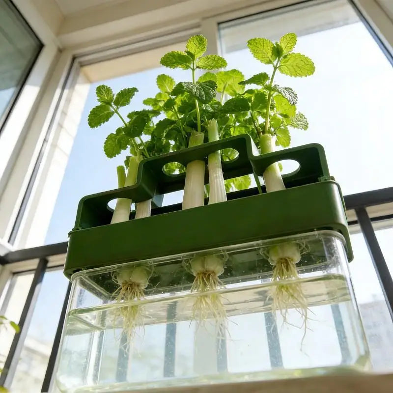 Hydroponic Green Onion Planter Innovative Automatic Watering Device for Home Gardening Fresh Vegetable Growth