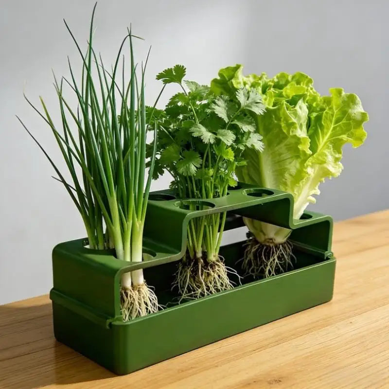 Hydroponic Green Onion Planter Innovative Automatic Watering Device for Home Gardening Fresh Vegetable Growth