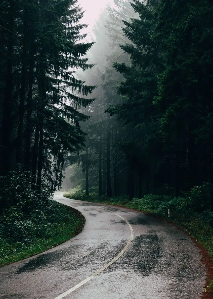 Beautiful Dark Green Forest Foggy Mountain Landscape Nature Scenery Poster Canvas Painting Wall Art Pictures Home Room Decor