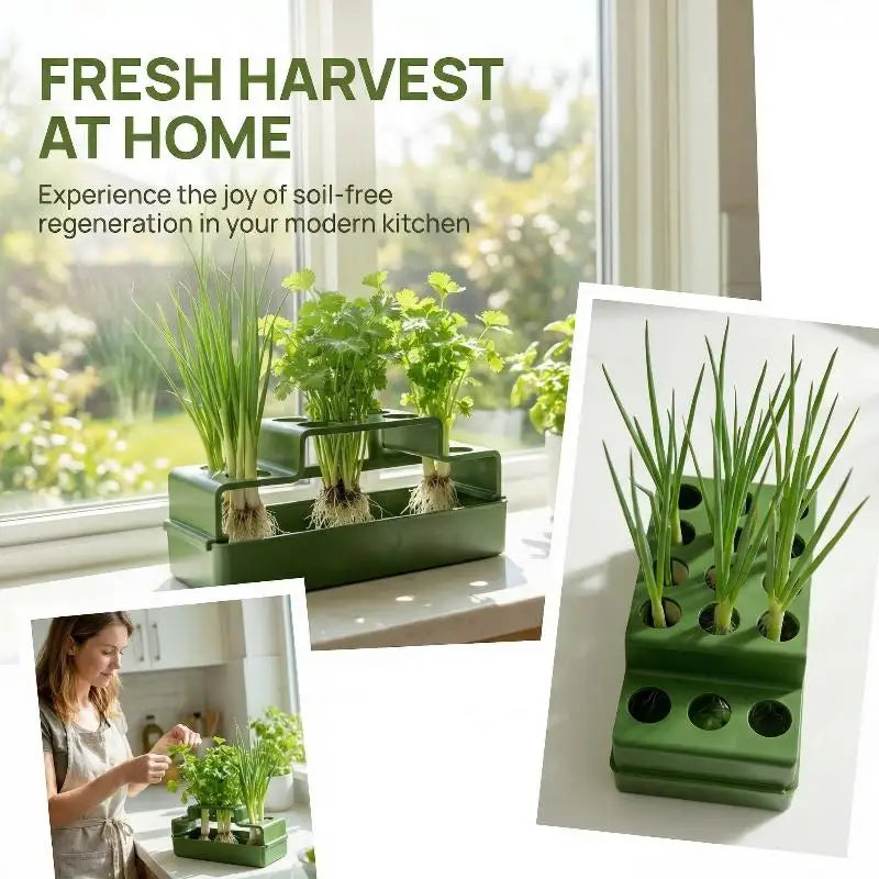 Hydroponic Green Onion Planter Innovative Automatic Watering Device for Home Gardening Fresh Vegetable Growth