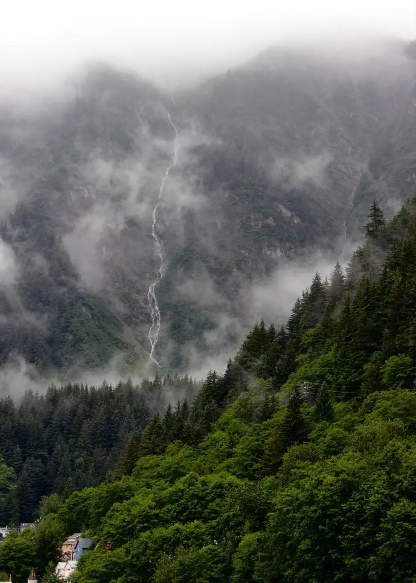 Beautiful Dark Green Forest Foggy Mountain Landscape Nature Scenery Poster Canvas Painting Wall Art Pictures Home Room Decor